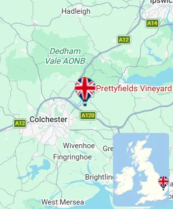 Map showing the Colchester hot air balloon launch area